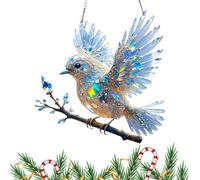 Générique Crystal Bird Ornament, 2D Acrylic Bird Decor Sculpture, Decorative Sun Catcher Hummingbird Statue, Lightweight Hanging Accent for Shelf, Yard, Garden, Outdoor Room
