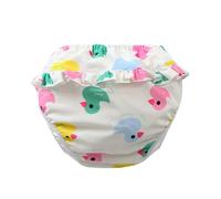 Générique Culotte d Apprentissage Enfant Culotte Apprentissage propreté Pantalons d'entraînement maillots de bain pour bébé 1-4 Ans
