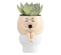 Générique Cute Plant Pot - Resin, 4.13x3.54x5.12in Frowning Face Planter Fun Design | Durable Indoor/Outdoor Desk Decor, Small Planter for Home, Office, Garden, Balcony, Tabletop, Gifting