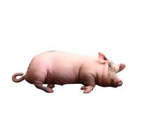 Générique Cute Stuffed, Animal Doll Animal Soft Funny Throw Pillows