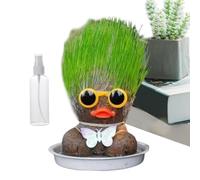 Générique d', kit de Culture de Vos Propres Cheveux, 10 cm, décoration éducative de, de de Jardin, Ensemble de pulvérisation de Plateau, Jouet d'apprentissage de la Culture, p