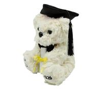 Générique d'anniversaire avec Chapeau De Remise De Diplôme - Ours en Personnalisé avec Année Brodée, Emballage Cadeau Inclus, Souvenir pour l'avenir | pour, Garçons, Filles, Adol