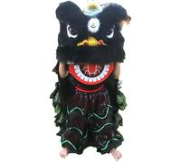 Générique Danse Traditionnelle Chinoise du Dragon et du Lion