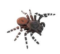 Générique d'araignée réalistes-araignée modèle Animal drôle | Araignées effrayantes et décoration d'araignée d'Halloween pour garçons filles adolescents