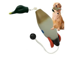 Générique De Dressage Canin Canard - Mousse EVA | Jouet Rapporteur | Accessoire Chasse pour Chiens | Objet Récupération Extérieur pour Animaux Pratique Rapport Exercice Plein Air Et Agilité Cani