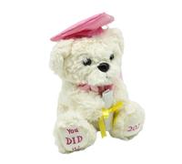 Générique de Remise de Diplôme | Peluche Cadeau Sympa pour Diplômés - Ours en Peluche 2026,pour Garçons Filles Adolescents Étudiants Maternelle