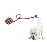 Générique de tir à la Corde pour Chien Corde à mâcher avec Ventouse