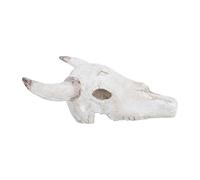 Générique Décoration Aquarium Reptiles Crâne de Taureau Blanc 20,5x17x9 Cm en Résine, Cachette Sécurisée pour Geckos et Tortues, Accessoires pour Terrarium Polyvalents et Entretien Facile