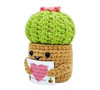Générique Décoration Cactus Crochet,Cactus en Pot au Crochet | Décoration Bureau Étagère Chambre Salon Pour Anniversaire Housewarming Inspiration