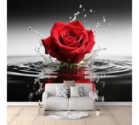 Générique Décoration Murale Roses Rouges, Papier Peint Enfant Rose Modernecréation Artistique Créer Un Mur D’Accent Cache Les Imperfections Du Mur Alignement Parfait Sans Traces Ni Bulles 400X280cm