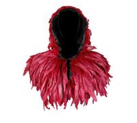 Générique Déguisement Carnaval Cape À Capuche Unisexe Avec Plumes Pour Grande Fête De Carnaval Et Mascarade Accessoire De Célébration Spectaculaire Pour Homme Et Femme Déguisement Festival Déguisem