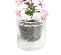 Générique Desk Flower Pot - Double Layer Transparent Glass Plant Pot with Reservoir Hydroponic Decorative Vase Small Indoor Flower Pots for Office Desk Home Balcony Room Study