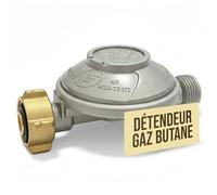 Générique Détendeur Gaz Butane 28 mbar Sécurité Limiteur Débit - Raccord Fileté G.2 Bouteille 13 kg - Sortie Mâle 20x150 - pour Réchaud, Gazinière, Chauffage - Conforme Norme NF en 16129