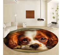 Générique Diamètre 180 cm Tapis Rond Jaune Antidérapant, Style Photographie Chien Animal Imprimé Tapis - Moquette Fausse Laine Doux et Moelleux Lavage en Machine pour Décoration Salon Chambre Cuisine