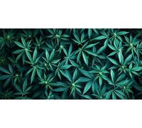 Générique Diamond Painting Adulte, 5D DIY Peinture Diamant Complet Kits, Grand Diamant Painting Feuilles vertes Carrés Cristal Strass Point de Croix Kit pour Décoration Murale Maison 70x140cm, P5709