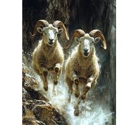 Générique Diamond Painting Mouton, 5D Diamond Painting Adulte Grand Format Animal Kit Broderie Tableau Diamant Adulte Complet Round, Diamant Point de Croix Peinture, Cadeau Femme 50x80cm 4-OT14