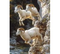 Générique Diamond Painting Mouton, 5D Diamond Painting Adulte Grand Format Animal Kit Broderie Tableau Diamant Adulte Complet Round, Diamant Point de Croix Peinture, Cadeau Femme 30x40cm 6-3618