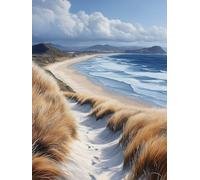 Générique Diamond Painting Plage, 5D Diamond Painting Adulte Grand Format Sea Kit Broderie Tableau Diamant Adulte Complet Runde, Diamant Point de Croix Peinture, Cadeau Femme 30x40cm 9-B38G99