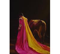 Générique Diamond Painting Torero, 5D Diamond Painting Adulte Grand Format Bison Kit Broderie Tableau Diamant Adulte Complet Carré, Diamant Point de Croix Peinture, Cadeau Femme 40x60cm 3-3972