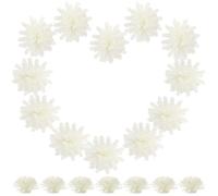 Générique Diffuseur pour Salle de Bain en PE Blanc Forme Fleur, 100pcs Diffuseurs de Plantes Décoratifs Pratiques Design Simple et Chic