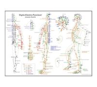Générique Digitopuncture Poster Médecine Chinoise, Carte des Points et Méridiens, Cabinet Professionnel et Salle d'Attente, 80 x 60 cm, Polypropylène Plastifié, et Acupuncture