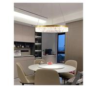 Générique Dining Room Chandelier Indoor Lighting Ceiling Lamp Hanging Lights Led Chandeliers For The Living(Warm White,1 ring 60cm)