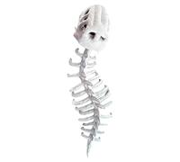 Générique Dinosaur Costume Outfit, Plush Skeleton Suit, 0.78in Halloween Cosplay Wear, Authentic Soft Fabric, Plush Halloween Costumes for Men, Women, Kids, Adults, Masquerade, Birthday