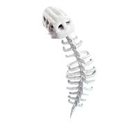 Générique Dinosaur Costumes, Plush Skeleton Dinosaur Halloween Cosplay Dress Up, Soft Jurassic Costume Accessories for Adults Kids Women Men Masquerade Events Carnival, 40.5x25.5x6.5 inches