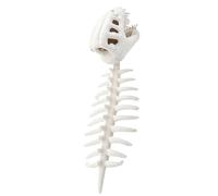 Générique Dinosaur Skeleton Costume - Plush Headpiece Doll for Fun | Soft Fabric with Wearable Design, Funny Toy Accessory, Playful Home Decoration, Bedroom Plush, Entertaining Gift Idea