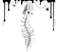 Générique Dinosaur Skeleton Costume Set - 45.2x15.7in Skull Headpiece Realistic Detail | Adjustable Spine Display, Cosplay Outfit For Halloween Parties, Role Play, Stage Shows, Themed Events