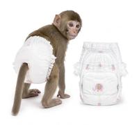 Générique Disposable Monkey Diapers, 20 Count Pet Monkey Diapers with Tail Hole, Absorbent Pull-Up Diapers for Small Monkeys, XXS/S(S)