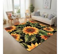 Générique Disque Vinyle Musical Peint Tapis pour Chambre 60x110cm Tapis Antidérapant Disque Coloré Doux au Toucher Décoration pour Salon, Cuisine, Lavable en Machine Descente de Lit