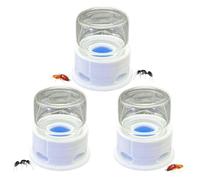 Générique Distributeur pour Fourmis Transparent Étanche, Abreuvoir pour Grillons et Insectes, Distributeur d’Eau Réutilisable Multifonction pour Élevage, Ferme, Extérieur, Salle de Classe