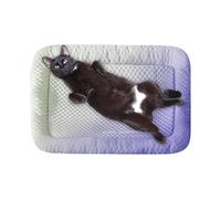 Générique Dog and Cat Cooling Mat, Portable Pet Pad for Crates, Travel, Indoor Outdoor Use, Cooling Bed for Puppies, Rabbits, Hamsters, Kitchen, Relaxation, Small Animals, 19.69x15.75 inches
