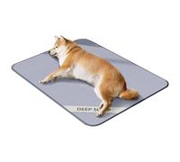 Générique Dog Cooling Mat, Breathable Sleeping Cold Bed for Pets, Hot Weather Puppy Cooling Cushion for Outdoor and Indoor Use, Comfortable Kitten Sleeping Pad 17.72x13.78x0.39 inches