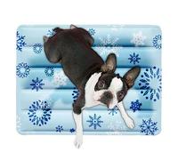 Générique Dog Cooling Mat, Pet Chill Pad, Soft Reusable Floor Cushion, Heat-Resistant Washable Fabric for Small Medium Large Pets Indoor Outdoor Summer Use, 11.81x15.75 inches
