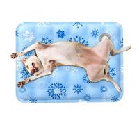 Générique Dog Cooling Pad, Bed Mat, 19.69x23.62 inches Cat Gel Cooling Ice Heat Dissipation, Pet Sleeping Accessory for Floor, Sofa, Car Seat, Kennel, Apartment, Outdoor and Living Room