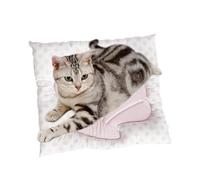 Générique Dog Cooling Pad - Shell Shape Comfortable Summer Cooling Mat, Breathable Pet Sleeping & Play Pad for Dogs, Puppies, Rabbits and Small Animals, Indoor & Outdoor Use for Sofa, Car, Travel