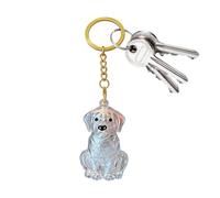Générique Dog Hair Keepsake , Cat Ashes Storage Bottle Keychain Bag Charm | Cat Hair Keepsake Container for Kitten Office Travel Phone Case Backpack Keys Car Rearview Mirror Small Medium Large Breed