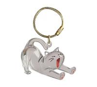 Générique Dog Hair Key Chain - Pet Keepsake Box, Cat Hair Storage Box, Pet Refillable Hairs Keyring, Clear Pendant Memorial Acrylic Key Chain for Men Collection Backpack Bag Purse Women Charm