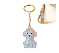 Générique Dog Hair Memorial Keepsake Ashes Bottle Bag Charm Keyring | Cat Hair Holder For Small Medium Large Breed Puppy Kitten Office Phone Case Backpack Keys Car Rearview Mirror Travel