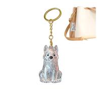 Générique Dog Hair Memorial Keepsake Ashes Bottle Bag Charm Keyring | Cat Hair Holder For Small Medium Large Breed Puppy Kitten Office Phone Case Backpack Keys Car Rearview Mirror Travel