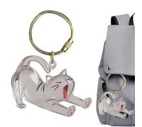 Générique Dog Keepsake Box - 7x4.5cm Cat Hair Storage Box, Dog Hair Keepsake Keyring - Memorial Acrylic Clear Pendant Key Chain For Men Charm Purse Collection Backpack Women Bag