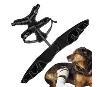 Générique Dog Knee Brace, Pet Joint Hip Support, Medium/Large/XLarge, Portable Back Leg Stability Bracket, Warm Compression Design, Rehabilitation Recovery Aid for Canine Mobility Use