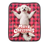 Générique Dog Mats - Warm Crate Pads for Dog Cages, Dogs Potty Training | Puppy Training Pads, Washable Anti-Slip Rug Pad for Pet Bed House Entryway Outdoor Winter Car Front Floor