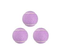 Générique Dog Tennis Balls, 3 Pieces High Bounce Elastic Pet Exercise Balls | Colorful Playing Toys for Backyard Games, Courts, Gyms, Classrooms, Camping Trips, Picnics, Garages