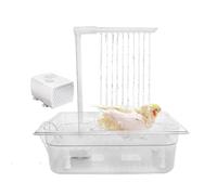 Générique d'oiseau Automatique, Douche d'oiseaux Automatique, à omeurs à Eau en Circulation, de Love