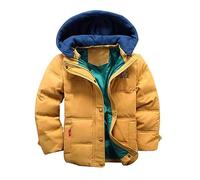 Générique Doudoune à Capuche GarçOn,Manteau Enfants Manches Longues éPais Chaud Mode Duvet Hiver Matelassé à Capuche DéTachable Blouson avec Fermeture éClair,Poche pour Thermique Casual 4-9 Ans
