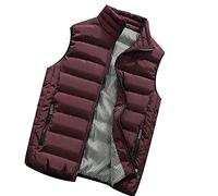 Générique Doudoune Sans Manches Homme Zippé Gilet Col Montant Puffer Body Warmer Homme Hiver Veste Sans Manches Chaud Épaisse Manteau Doublée Blouson Avec Poches Parka Matelassée Casual Chic Légère