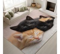 Générique Durable Tapis Douillet & Cosy Moelleux Douces Tapiss Touchant Animaux Ne Perd Pas Ses Poils Chat Qui dort Chaton Qui somnole Tapis 50 x 80 cm Couloir Entrée